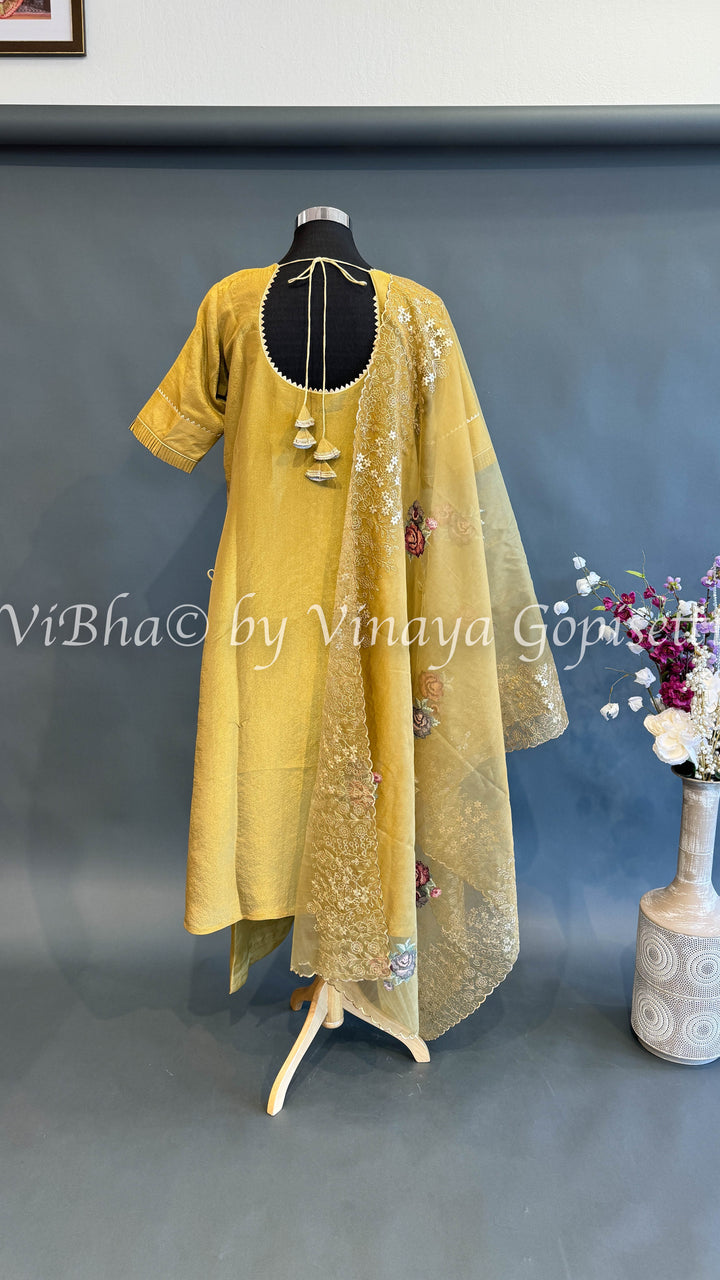 Yellow Embroidered Salwar Suit