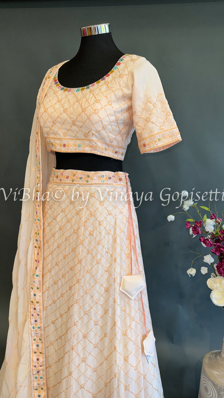 Light Peach embroidered fancy lehenga