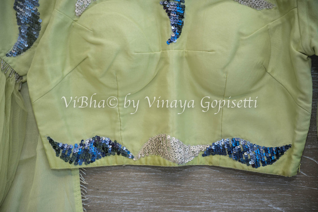 Sage Green Embroidered Silk Saree and Blouse