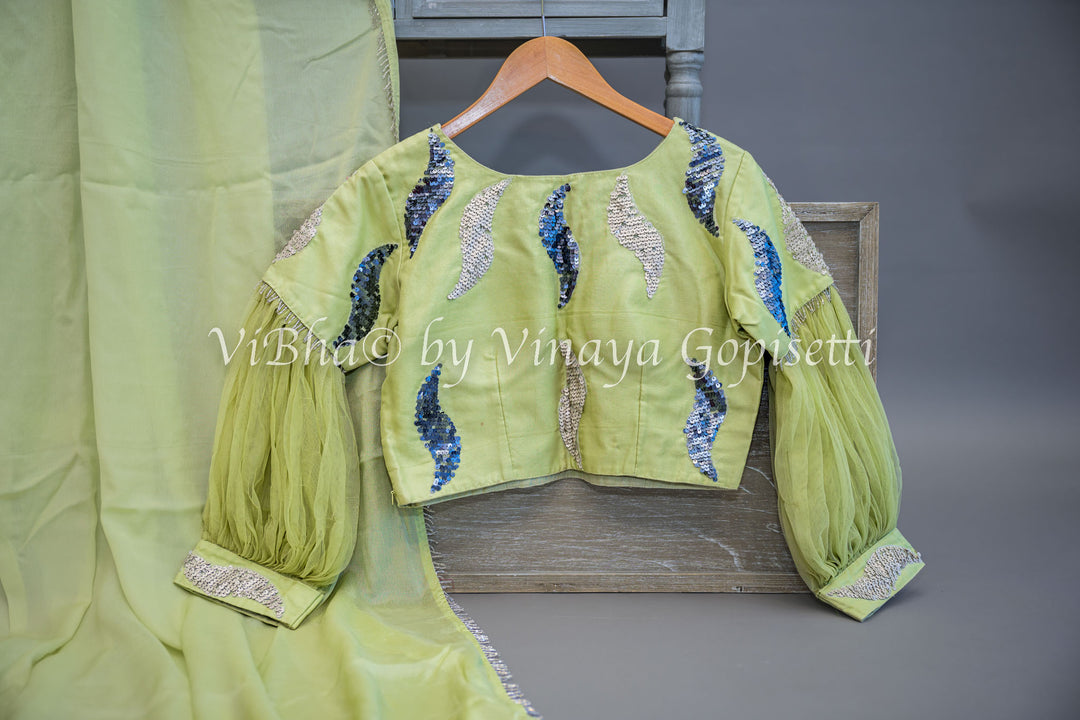 Sage Green Embroidered Silk Saree and Blouse