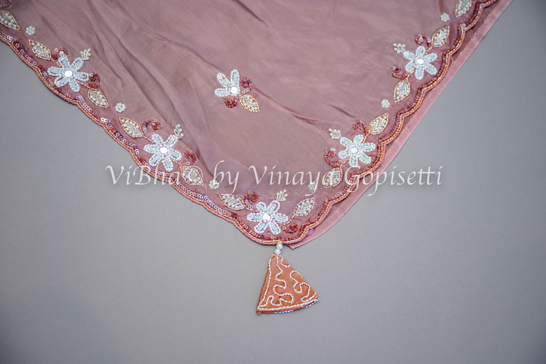 Nude Brown Embroidered Saree