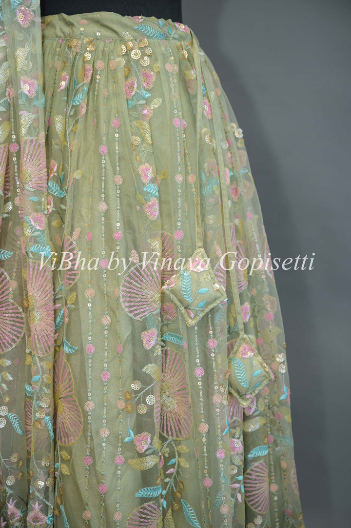 Pastel Green Net embroidered Lehenga Set With Sleeveless Blouse