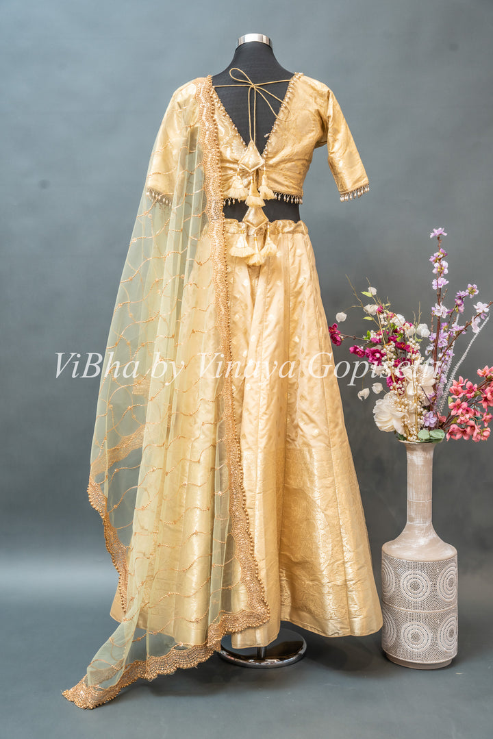 Pastel Gold and Green Banarasi silk lehenga set