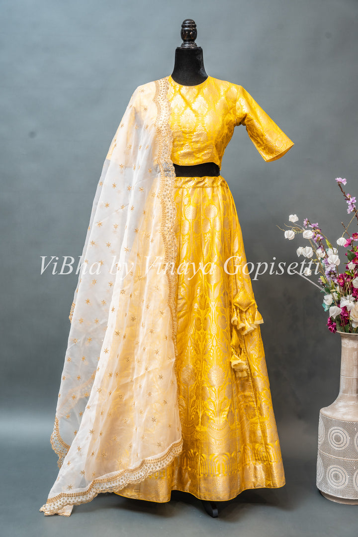 Yellow and White Banarasi Silk Lehenga Set