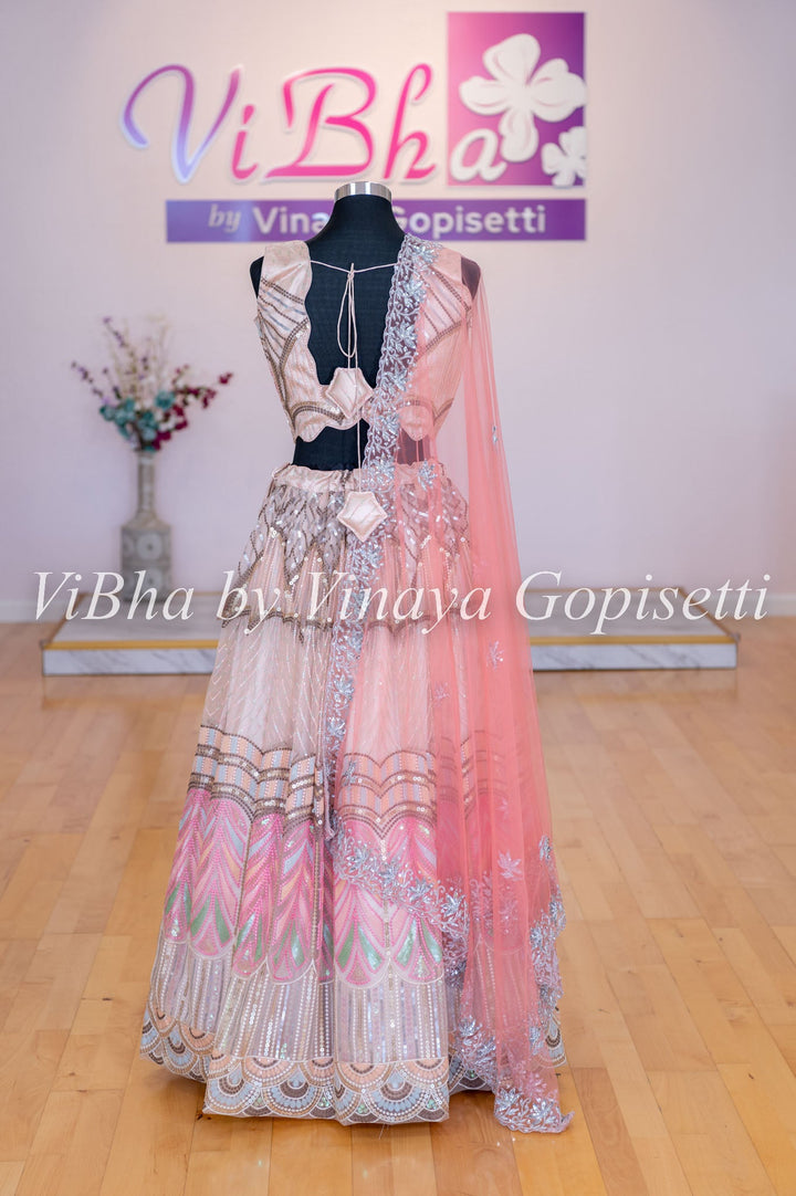 Lehengas - Light Peach Net Chevron Embroidered Lehenga