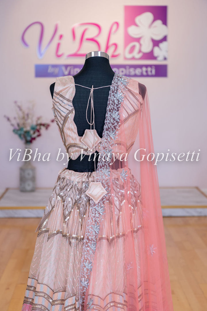 Lehengas - Light Peach Net Chevron Embroidered Lehenga