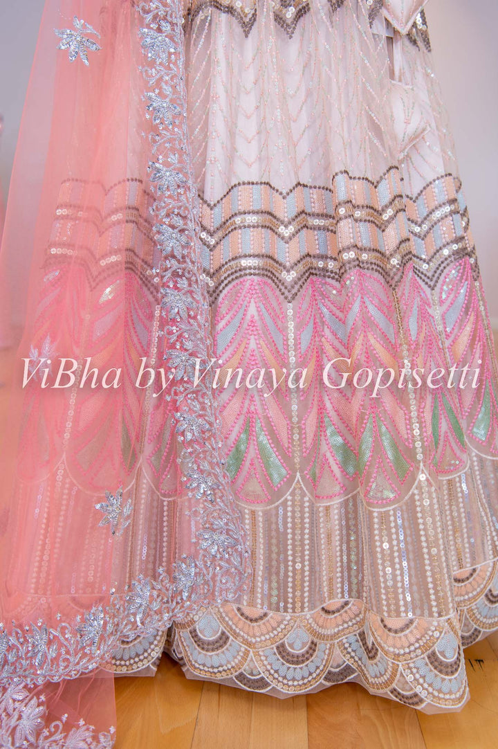 Lehengas - Light Peach Net Chevron Embroidered Lehenga